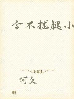 合不拢腿小说