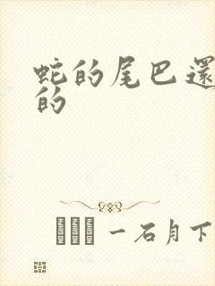 蛇的尾巴还在我的