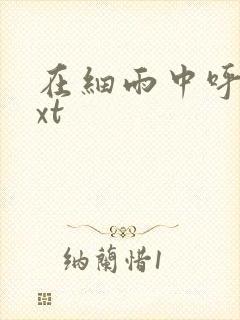 在细雨中呼喊txt