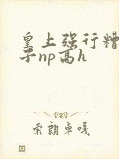 皇上强行糟蹋太子np高h封面