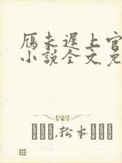 雁未迟上官穿越小说全文免费阅读