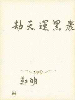 劫天运黑岩封面