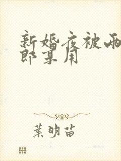 新婚夜被两个伴郎享用封面