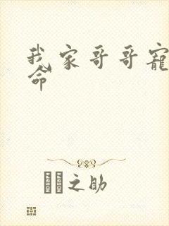 我家哥哥宠妹如命