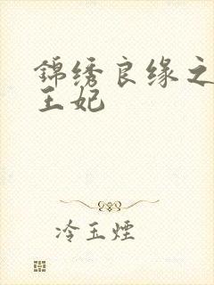锦绣良缘之北地王妃