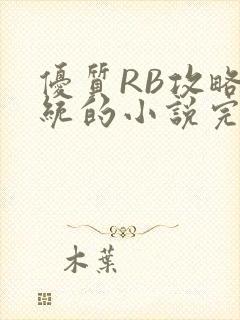 优质RB攻略系统的小说完整版