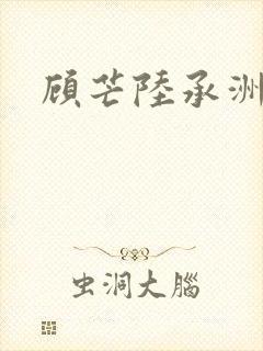 顾芒陆承洲封面