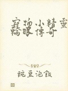 宠物小精灵之写轮眼传奇封面