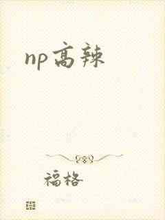 np高辣