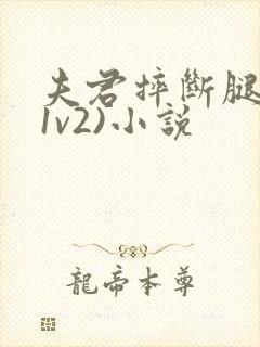 夫君摔断腿后(1v2)小说