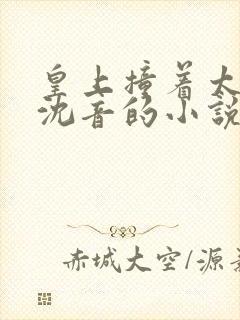 皇上撞着太子妃沈音的小说叫什么