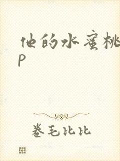 他的水蜜桃pop封面