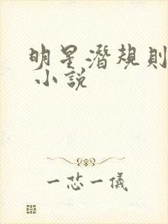 明星潜规则之皇 小说