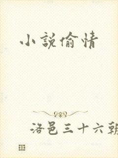 小说偷情