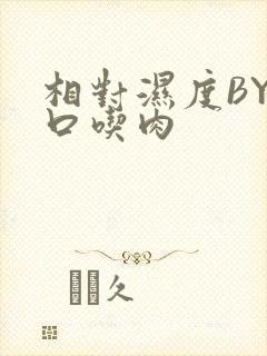相对湿度BY大口吃肉