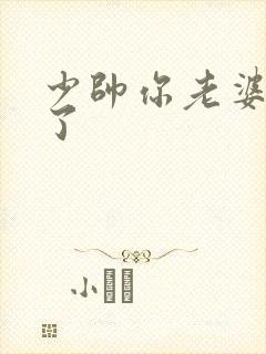 少帅你老婆又跑了