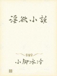 淫欲小说封面