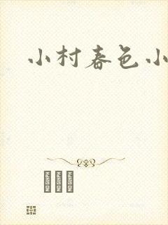 小村春色小说