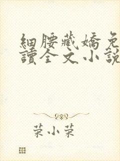 细腰藏娇免费阅读全文小说苏珞浅