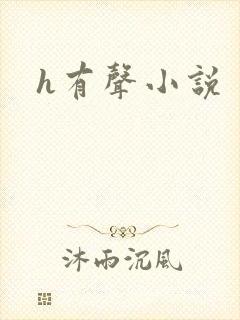 h有声小说