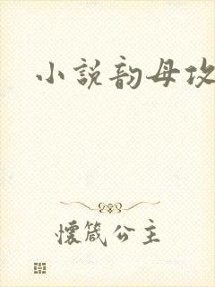 小说韵母攻略封面