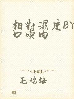 相对湿度BY大口吃肉