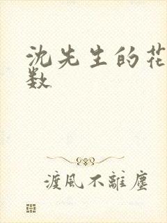 沈先生的花式调数封面