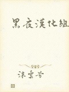 黑夜汉化组