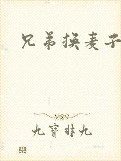 兄弟换麦子4封面