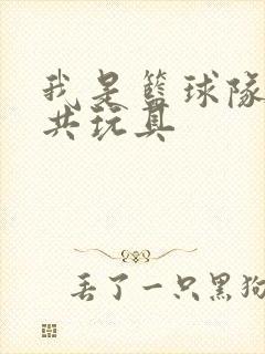 我是篮球队的公共玩具封面