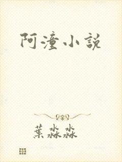 阿潼小说
