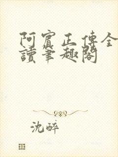 阿宾正传全文阅读笔趣阁