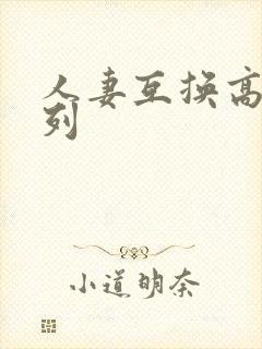 人妻互换高h系列