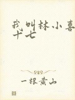 我叫林小喜今年十七