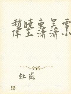 赵晓东吴雪晴郑伟王潇潇小说名字封面