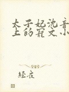 太子妃沈音和皇上的宠文小说