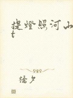 提灯照河山txt