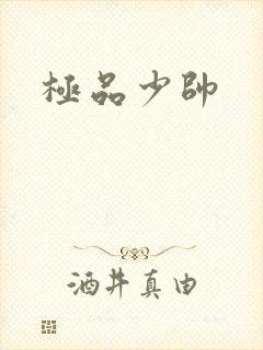 极品少帅