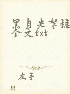 黑月光拿稳小说全文txt