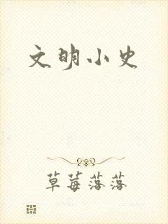文明小史