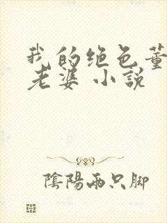 我的绝色董事长老婆 小说