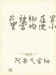 我被绑在男公厕里当肉便小说封面