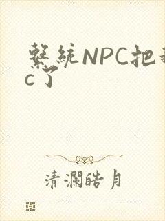 系统NPC把我c了