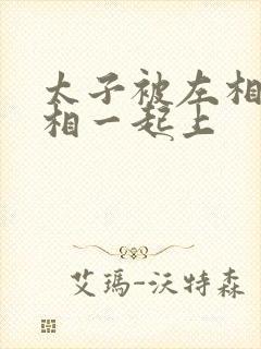 太子被左相和右相一起上