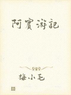阿宾游记封面