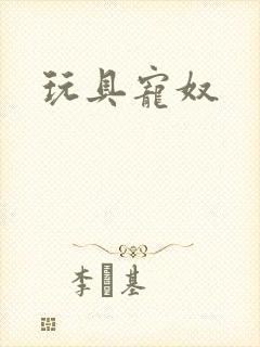 玩具宠奴