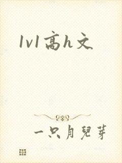 1v1高h文