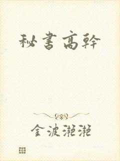 秘书高干封面