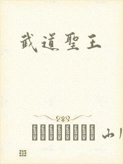 武道圣王