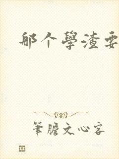 那个学渣要上天封面